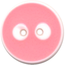 Lacquered Nylon Button